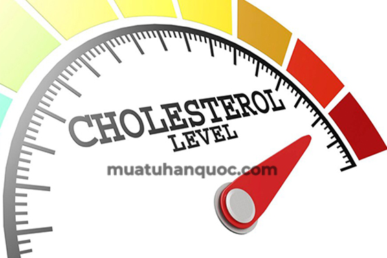 chi-so-cholesterol-cao-thi-phai-lam-sao