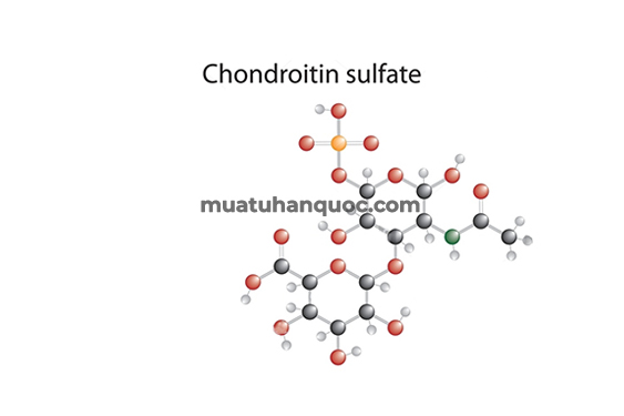 chondroitin-va-chondroitin-sulfate-co-gi-khac-nhau