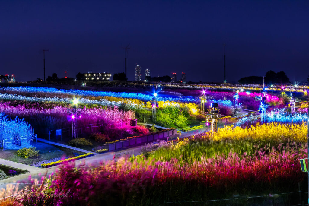 cong-vien-bau-troi-noi-co-bau-troi-va-djong-co-hoa-quyen-vao-nhau