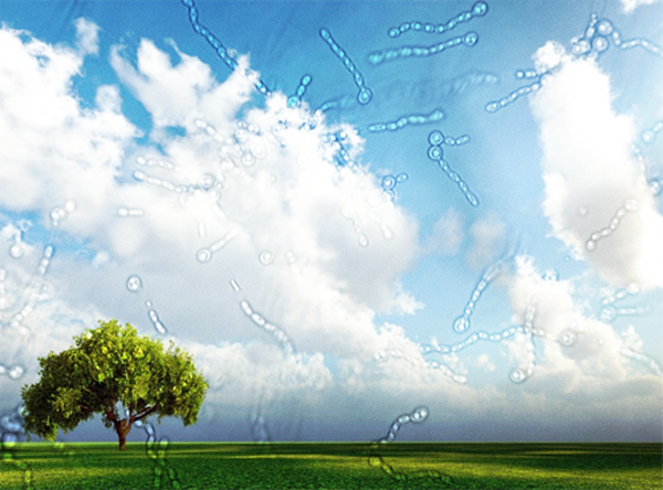 nguyen-nhan-gay-nen-hoi-chung-van-duc-dich-kinh