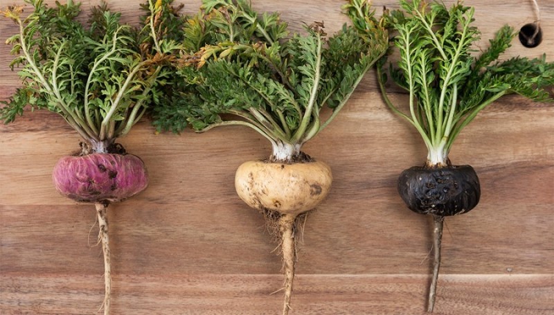 qa-cong-dung-cua-qua-maca