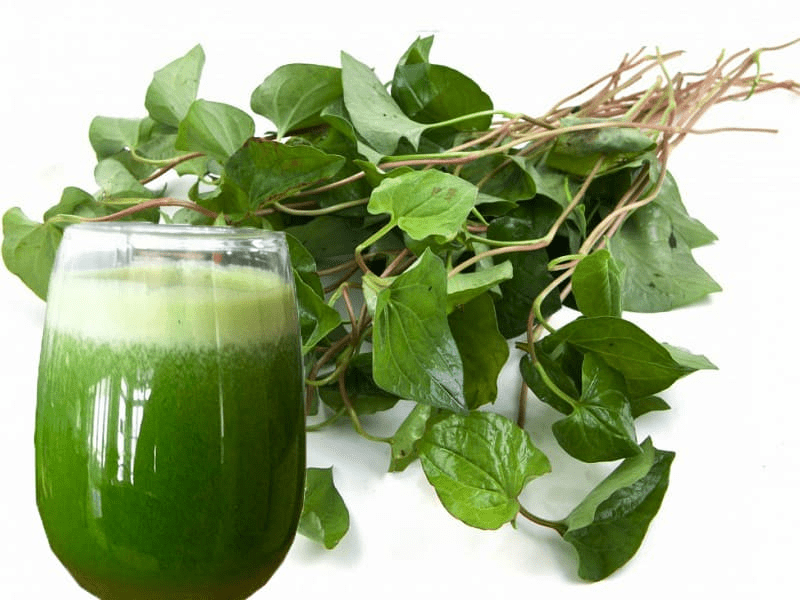 qa-cong-dung-cua-diep-ca