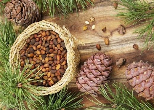 qua-thong-vu-khi-chong-ung-thu-manh-me-tu-tu-nhien