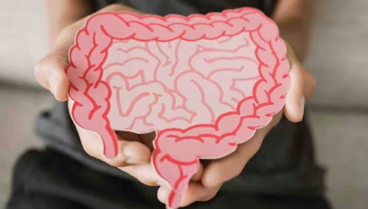 tac-dong-cua-suc-khoe-duong-ruot-den-he-thong-mien-dich-va-chuc-nang-trao-doi-chat