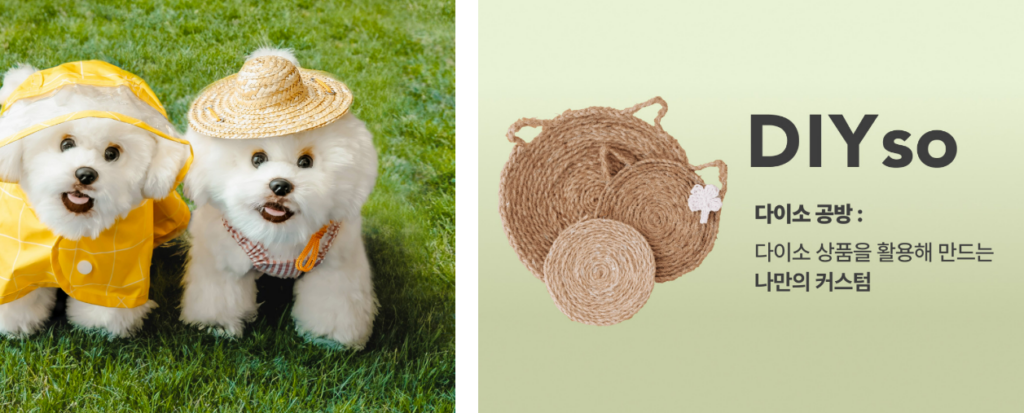 daiso-mall-han-quoc-thien-duong-mua-sam-truc-tuyen-voi-gia-re