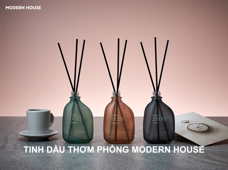 modern-house-diffuser